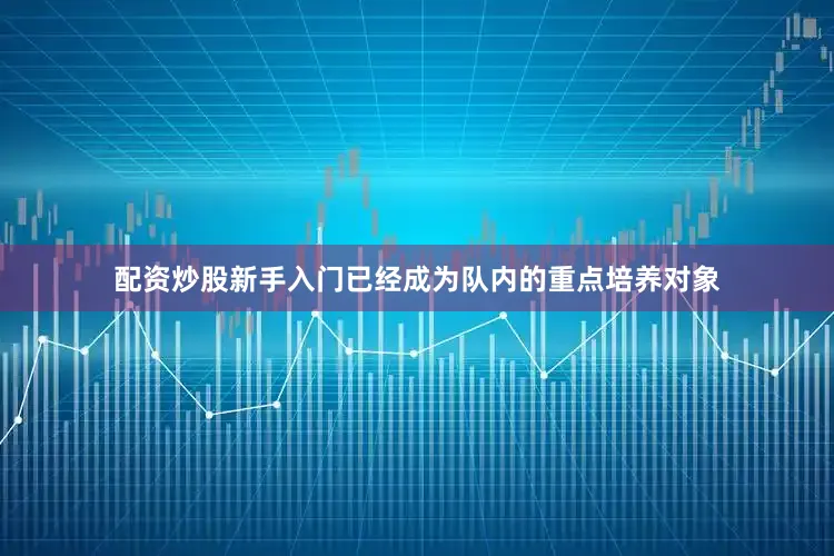 配资炒股新手入门已经成为队内的重点培养对象