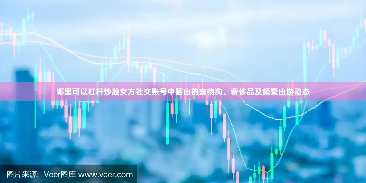 哪里可以杠杆炒股女方社交账号中晒出的宠物狗、奢侈品及频繁出游动态