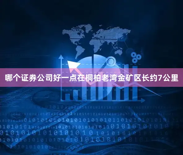 哪个证券公司好一点　　在桐柏老湾金矿区长约7公里
