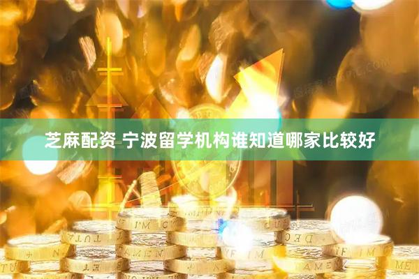 芝麻配资 宁波留学机构谁知道哪家比较好