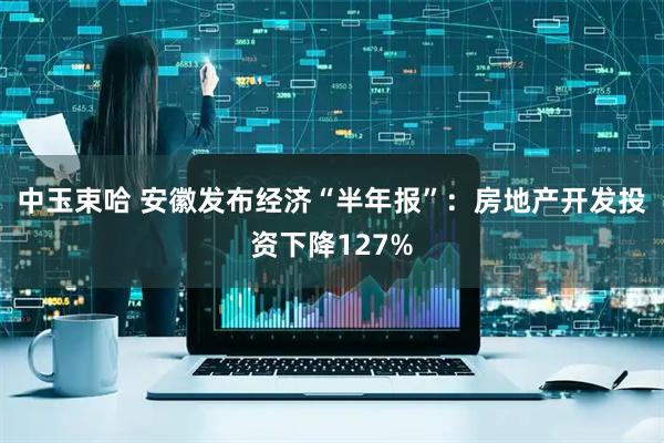 中玉束哈 安徽发布经济“半年报”：房地产开发投资下降127%