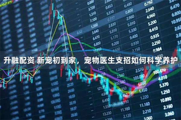升融配资 新宠初到家，宠物医生支招如何科学养护