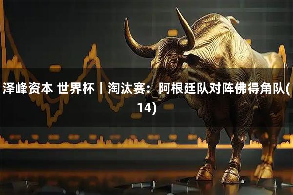 泽峰资本 世界杯丨淘汰赛：阿根廷队对阵佛得角队(14)